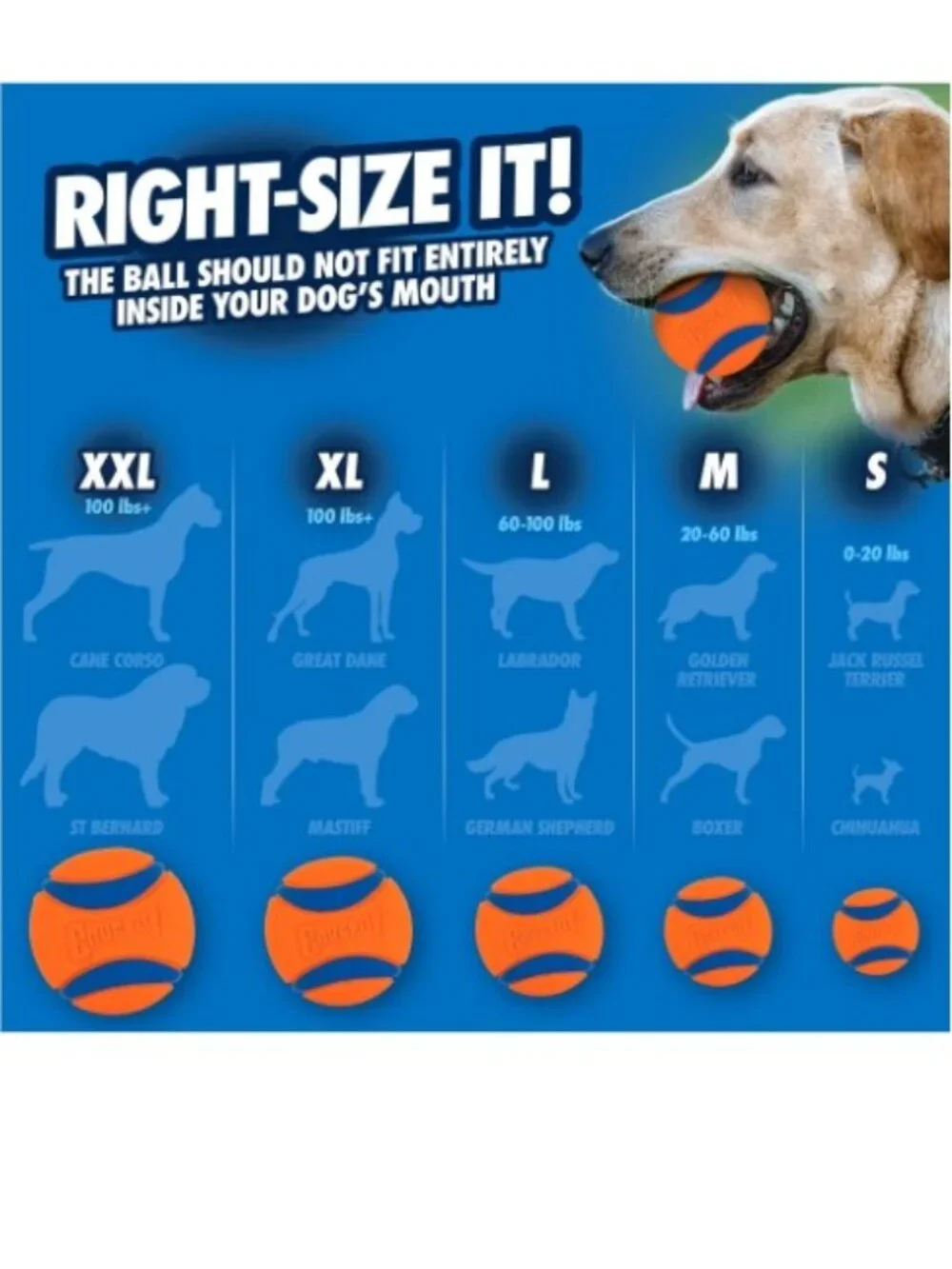 𝗖𝗵𝘂𝗰𝗸𝗶𝘁! 𝗨𝗟𝗧𝗥𝗔 𝗕𝗔𝗟𝗟 Dog Toy Orange/Blue (Size Medium) (2 balls)